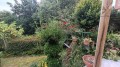 Foto53
