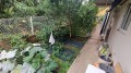 Foto55
