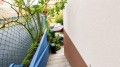 Foto9