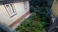 Foto59