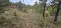 Foto5