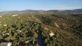 Foto31