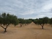 Foto1