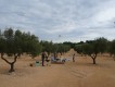 Foto2