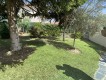 Foto20