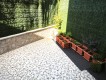 Foto31