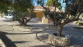 Foto6