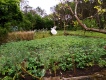 Foto12