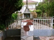 Foto15