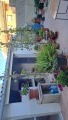 Foto38