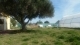 Foto12